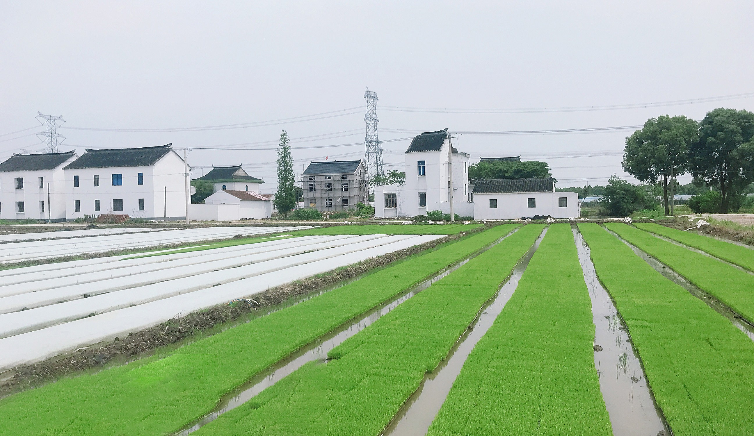 农田环境综合治理