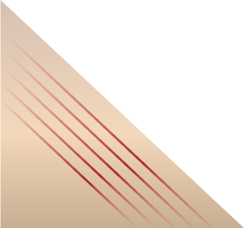 新起点 新跨越|鸿灌环境召开2024年度年终总结暨表彰大会(图48)