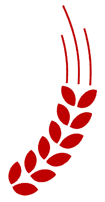 鸿灌环境乔迁新址，十载陪伴 盛启新程 共创未来(图27)