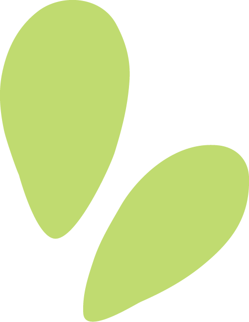 鸿灌环境再下一城！成功中标雄安新区容东环境卫生运营项目(图4)