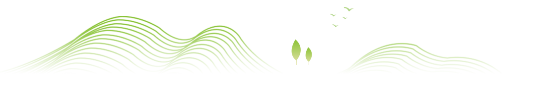 鸿灌环境获评雄安集团生态建设公司2025年度优秀运营服务单位(图2)