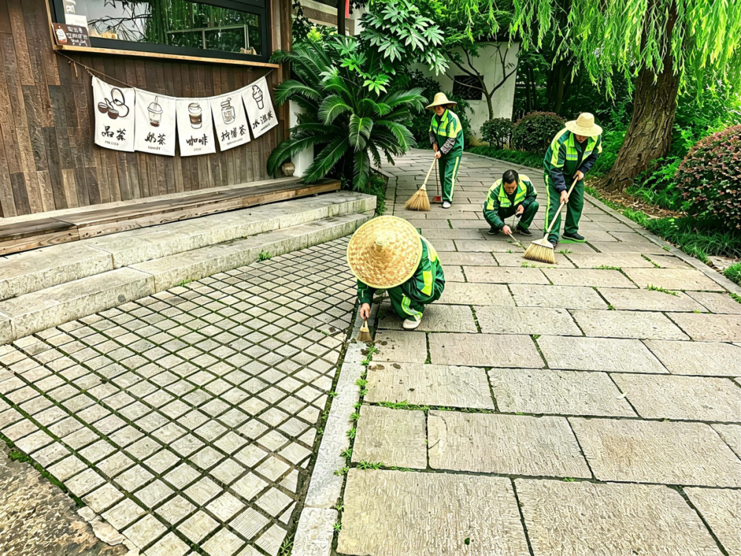 央视聚焦木渎古镇|鸿灌环境匠心保洁护航千年江南古韵(图12)